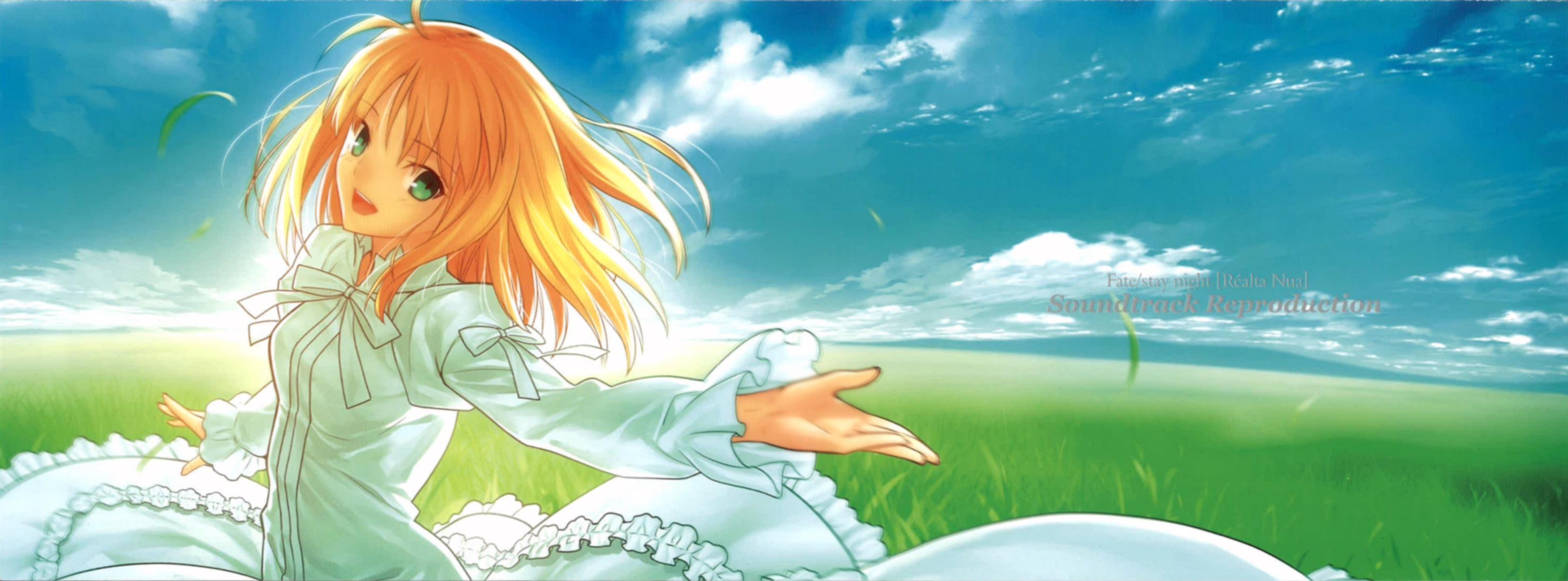 Fate/stay night [Réalta Nua] Soundtrack Reproduction (2012